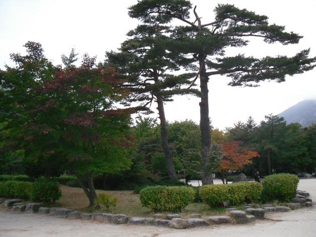 SDC13899_resize.JPG